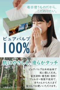 【令和8年4月～出荷】ティッシュペーパー ピュアパルプ ソフトパックティッシュ 60パック×400枚 200組 柔らか コンパクト 日用品 必需品 まとめ買い 常備品 備蓄 防災グッズ 熊本県 小国町