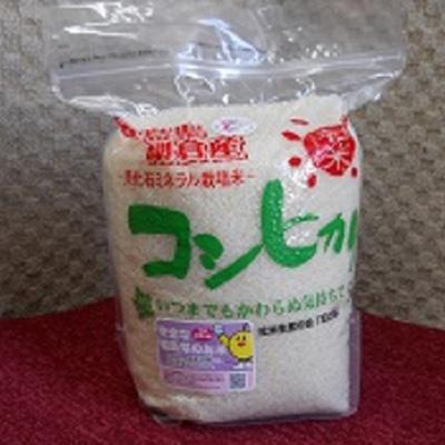 ふるさと納税 棚倉町 社米コシヒカリ白米12kgセット【棚倉ブランド認証第2号】