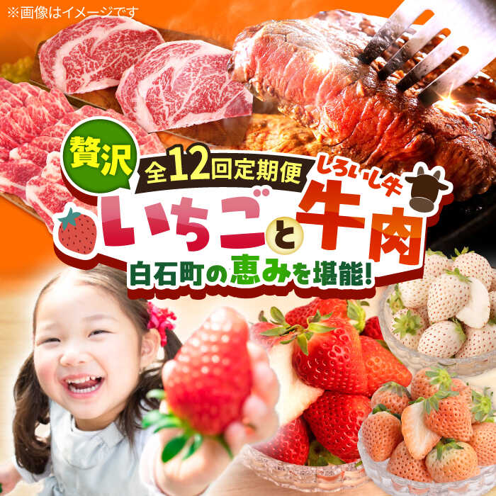 【ふるさと納税】【R8年1月以降発送】【全12回定期便】産地直送！白石町産 いちごと牛肉の贅沢定期便 / イチゴ 苺 果物 フルーツ お肉 肉 ステーキ 焼肉 すき焼き しゃぶしゃぶ ハンバーグ 佐賀県 白石町 [IZZ010]