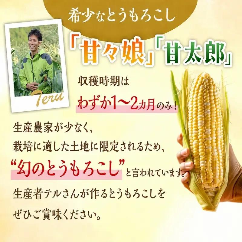 訳あり とうもろこし 先行予約 甘々娘 または 甘太郎 約4本～7本 家庭用 テルもろこし 先端カット済 個包装 レンジ調理 レンチン 旬 冷蔵配送 6月下旬頃より順次発送 静岡 浜松市【配送不可：離
