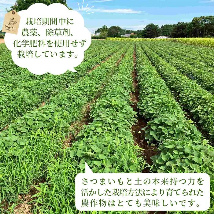 坂東市産　冷凍焼きいも　紅はるか1kg No.516