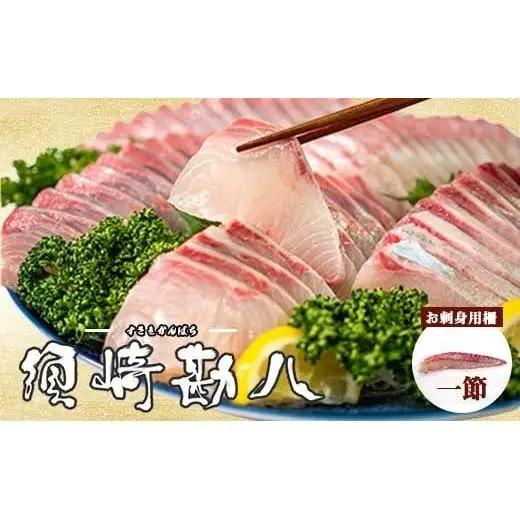【 カンパチ 】 カンパチ1節