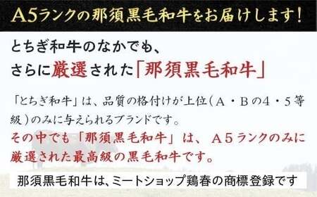 【定期便3ヵ月】A5等級 那須黒毛和牛 お手軽定期便 ｜ すき焼き しゃぶしゃぶ 焼肉用 霜降り上カルビ もも肩肉 ステーキ 小分けお肉少量 食べ切り 肉 国産 定期 高級 冷凍 那須 栃木県 那須町
