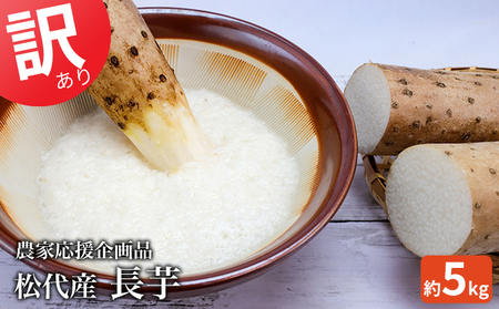 2026年産　訳あり 松代産長芋 約5kg　応援企画品 野菜 根菜 傷 変形 こぶ 5キロ 