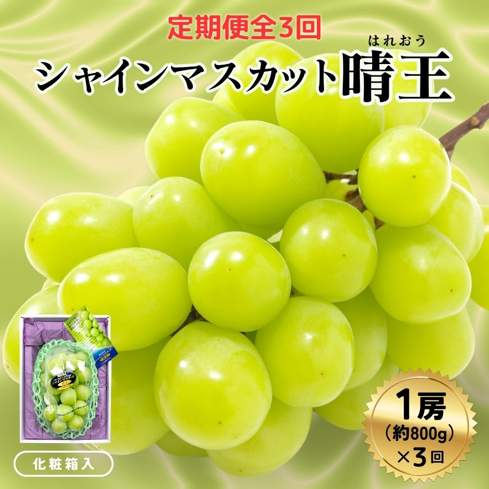 【ふるさと納税】＜定期便全3回＞ シャインマスカット晴王1房800g化粧箱入 3回コース【2026年発送】[040-a012]