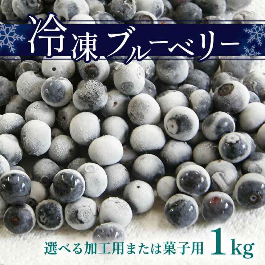 【ふるさと納税】 冷凍ブルーベリー( 加工用 or 菓子用) ｜ 果物 くだもの フルーツ ブルーベリー 冷凍 選べる 菓子用 加工用 スムージー ジャム 1kg 山口 美祢市 美祢 特産品