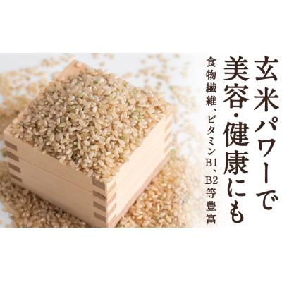 ふるさと納税 うきは市 【特Aランク米】五庄屋の地で作ったお米 元気つくし玄米 (5kg)【Go庄屋合同会社】 |  | 03