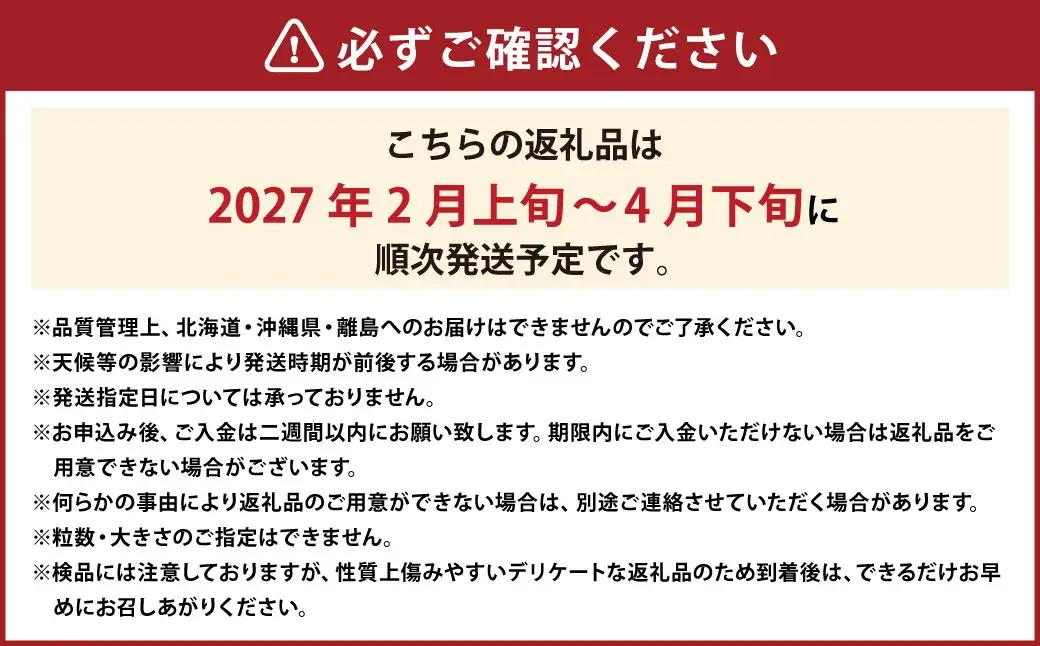 ティッシュボックス用特別仕様の桐箱入りプレミアムあまおう あまおう EX 約400gｘ1パック ギフト お祝い 贈答用 苺 いちご  【2027年2月上旬～4月下旬発送予定】