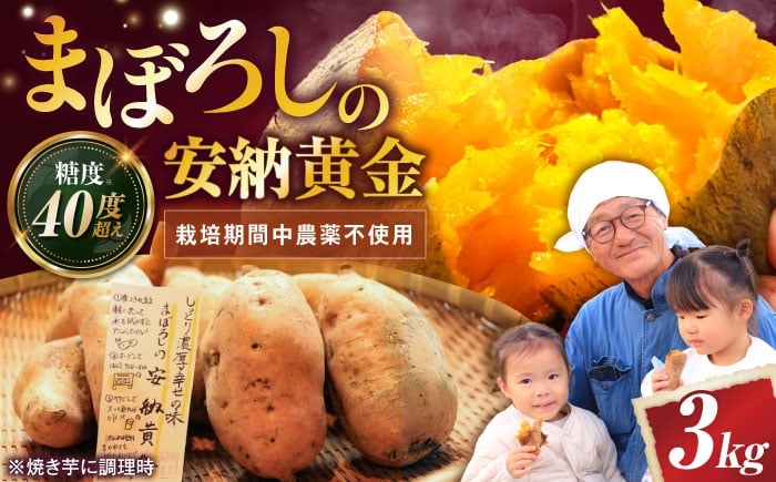 
            【厳選】熟成安納黄金 3kg 滋賀県長浜市/好作豊吉 [AQCF009]
          