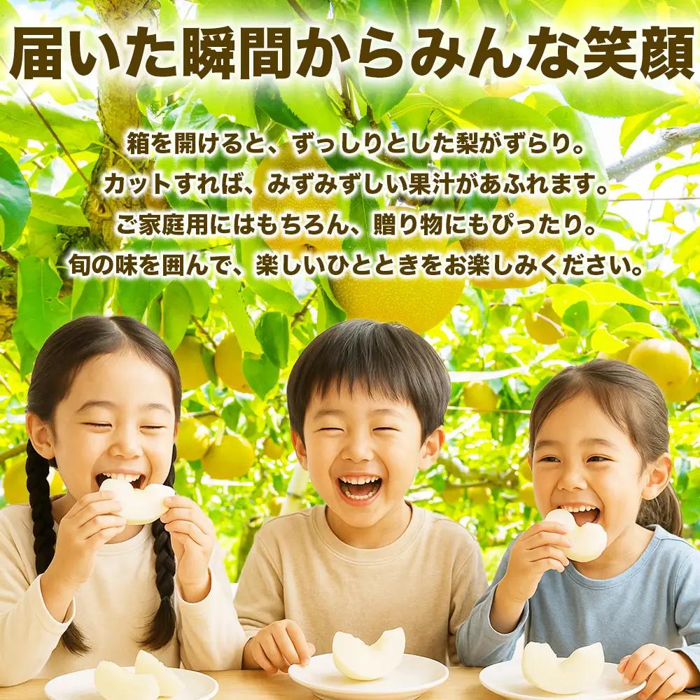 先行予約 秋月梨  約1.8kg（5~8玉 ）【2026年9月上旬～2026年9月下旬配送予定】