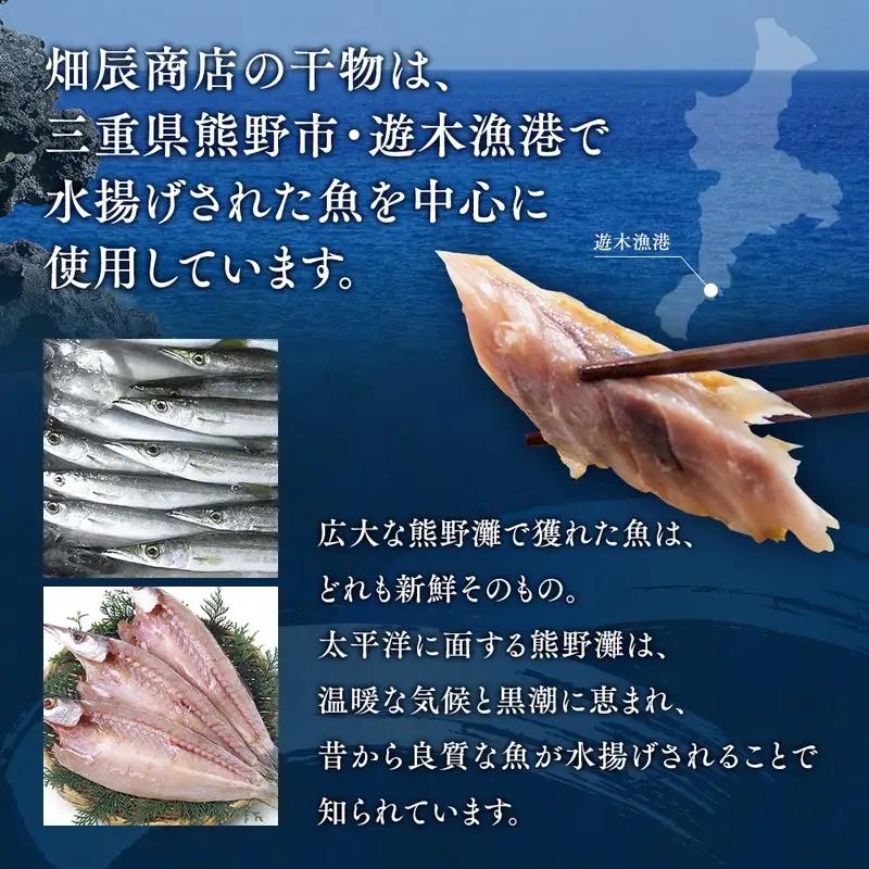 干物 詰め合わせ 9種セット 干物【hatt0002】