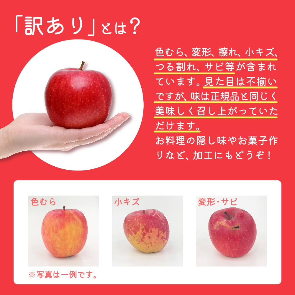 【2025年12月後半発送】 訳あり  りんご サンふじ 約 5kg 青森  果物  【 訳アリ リンゴ 林檎 ふじ さんふじ 】