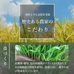 【令和8年産 新米】＜先行予約受付中！R8年9月下旬から順次発送予定＞お米農家直送！ササニシキ 5kg お米 おこめ 米 コメ 白米 ご飯 ごはん おにぎり 宮城米 ささにしき 令和8年産 お弁当 【