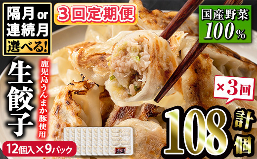 
            s602 【連続・隔月選べる定期便3回】タレ付き！鹿児島うんまか豚生餃子(計108個・12個入り×9P×3回) 鹿児島 冷凍 にんにく・ニラ不使用 国産野菜100％ ぎょうざ 餃子 ギョーザ 焼き餃子 水餃子 生餃子 おかず 定期便 毎月 連続月 隔月【肉の寺師】
          
