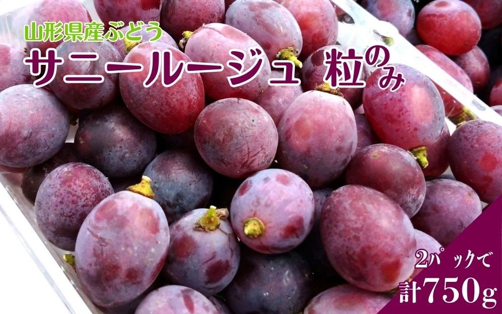 
                  ぶどう（サニールージュ・粒のみ）２パックで７５０ｇ　0142-2604
                