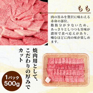 【最短発送】 飛騨牛 もも 焼肉 1kg(500g×2p) BBQ 赤身 小分け 肉のひぐち