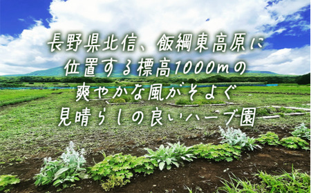 飯綱ハーバルブリーズ 《 自然に学ぶ 》 ハーブ体験 （ ペア ） 6月中旬～10月末 収穫体験 ハーブ摘み ブレンドティー作り ミント カモミール 長野県 飯綱町 [1925]