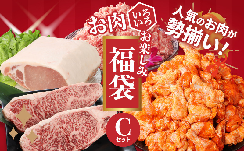 
★スピード発送!!７日～10日営業日以内に発送★福袋 木城町 お肉いろいろお楽しみセットC K16_0071_2
