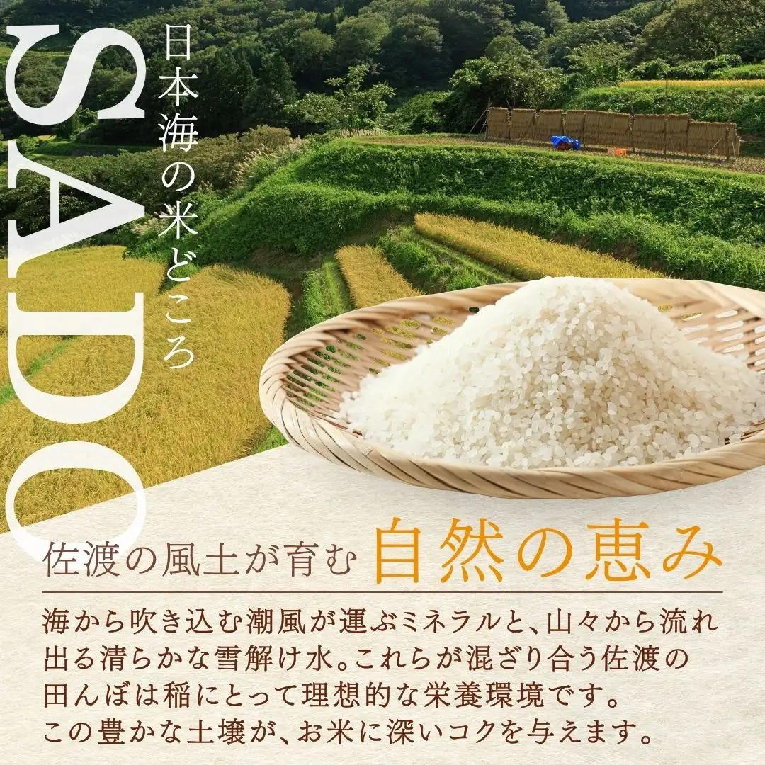 新之助 精米 5kg 令和7年 | 新潟県 佐渡市 米