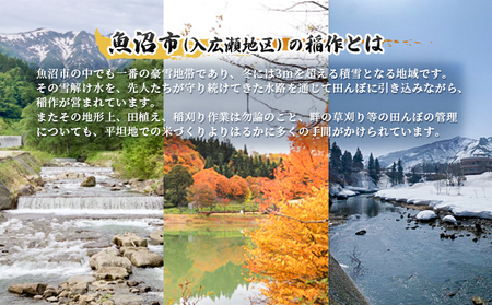 令和6年産 北魚沼「奥の極」入広瀬の米（うまし故郷　入広瀬）精米5kg