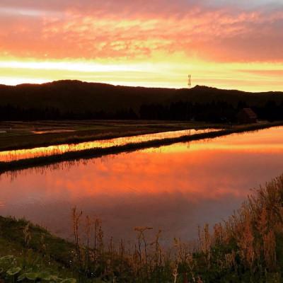 ふるさと納税 十日町市 【毎月定期便】[通年受付]魚沼産特別栽培米コシヒカリ〈清津の恵〉精米 5kg全6回 |  | 03