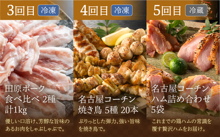 【定期便】ブランド豚・地鶏 定期便 全5回 田原ポーク 名古屋コーチン