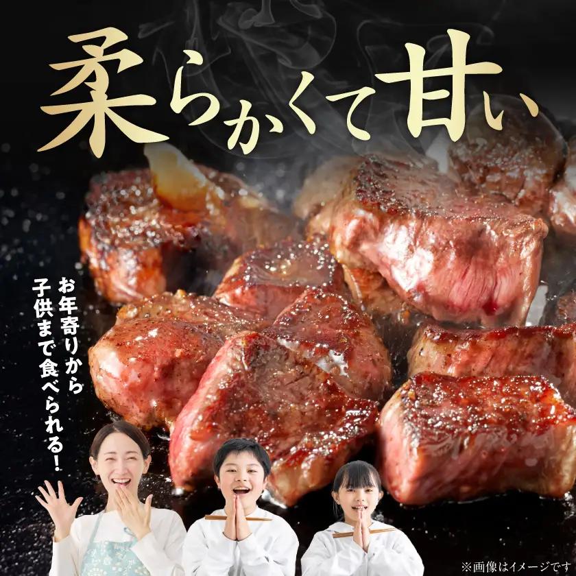 宮崎牛ヒレサイコロステーキ500g〔AD-8904〕_(都城市) 牛肉 サイコロカット ステーキ肉 500グラム ヒレ肉/フィレ肉 希少部位 さいころステーキ 宮崎牛 お誕生日 内祝い ギフト 贈答用