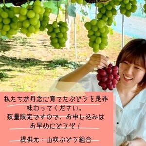 クイーンルージュTM＆シャインマスカットぶどう2種セット約1kg＜2025年9月中旬より発送＞