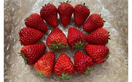 【紅ほっぺ】MIX（サイズいろいろ）300-400g程度 No.256