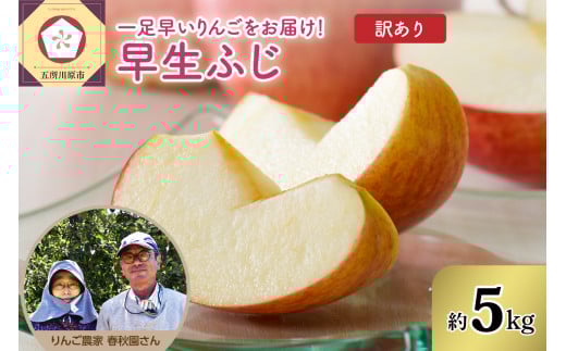 【先行予約 2025年10月上旬発送】【訳あり】りんご（早生ふじ）5kg 春秋園 青森【家庭用 リンゴ 訳アリ 林檎 早生フジ ワケアリ】