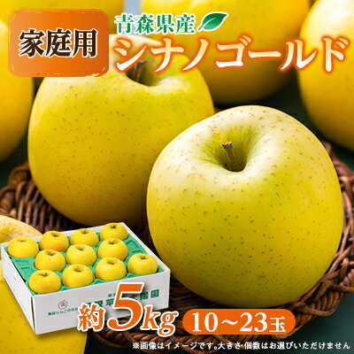 【ふるさと納税】青森市産りんご「シナノゴールド」約5kg(家庭用)【配送不可地域：離島・沖縄県】【1272642】