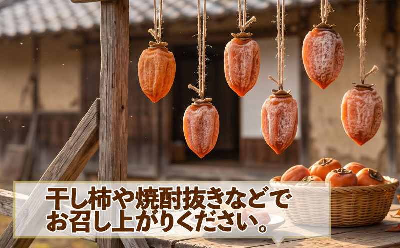 訳あり 渋柿 愛宕柿 約 10kg スーパー山田屋 先行予約 不揃い kaki かき あたごがき カキ フルーツ 果物 くだもの 訳アリ 訳有り わけあり ご家庭用 規格外 秋の味覚 新鮮 旬 産地直