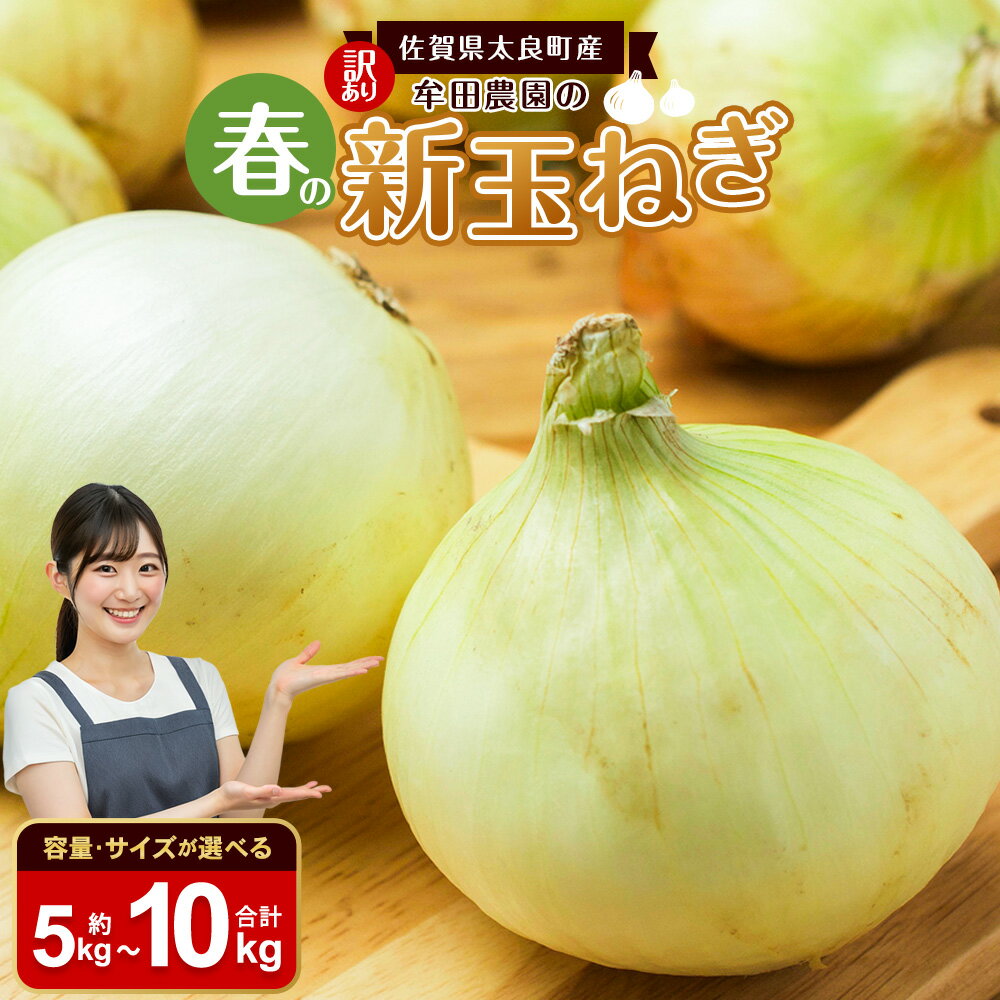 【ふるさと納税】【訳あり】牟田農園の春の新玉ねぎ （5kg（サイズおまかせ） ／ 10kg （M～L）） 【2026年4月上旬～6月上旬迄順次発送予定】 たまねぎ タマネギ 野菜 新玉ねぎ 玉ねぎ 訳あり わけあり 佐賀県 太良町 農家直送 送料無料