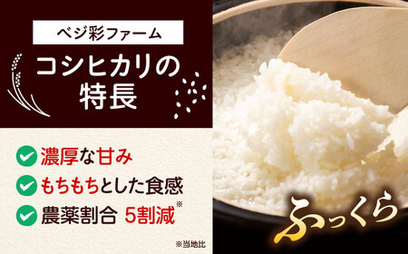 ＼スピード発送／お米 5キロ ベジ彩ファーム[AOEJ012] お米 お米 お米 お米 お米