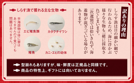 しらす 訳あり 2kg (200g×10パック) 小分け 釜揚げ しらす ごはん おかず チャーハン パスタ 料理 大きめ