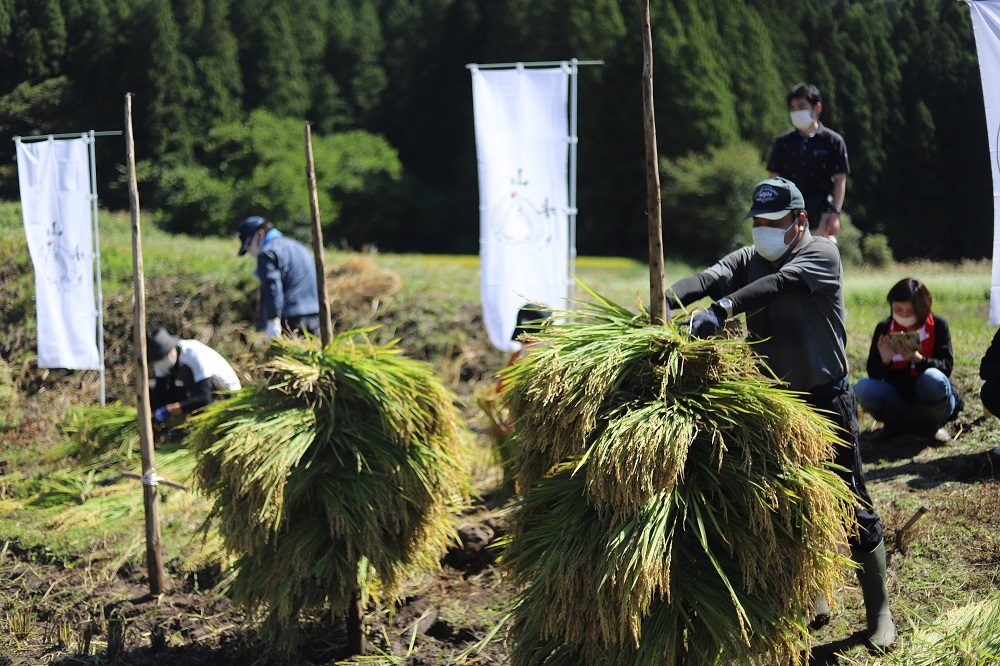 【数量限定】最上町の地酒　「山と水と、」生原酒と生酒セット 【数量限定】最上町の地酒　「山と水と、」生原酒と生酒セット	