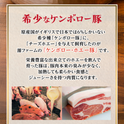 ケンボロー・ホエー豚 しゃぶしゃぶバラ肉1.2kgセット【CT−019】【配送不可地域：離島】【1396955】