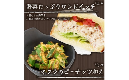 南国高知よりまごころ野菜セット 野菜でお家ごはん 【6～8品目】