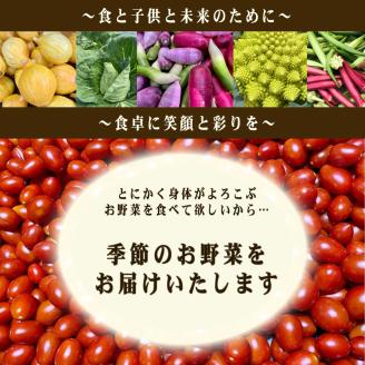 【定期便3ヶ月】旬の 野菜 詰め合わせ 7～9品 産地直送