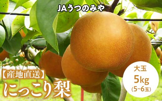 
【産地直送】JAうつのみや にっこり 梨　※2022年10月上旬頃～順次発送予定
