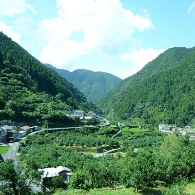 ふるさと納税 馬路村 ゆずの村ポン酢しょうゆペットボトル500ml×6本入【371】 |  | 03
