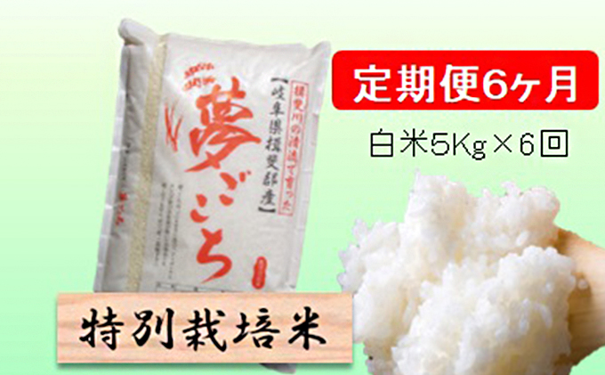 特別栽培米★[定期便] 6カ月★毎月 白米５kg 【夢ごこち】 お米 令和7年産 低アミロース モチモチ お弁当 おにぎり 安心 安全 美味しい 糖質 