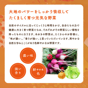 自然栽培じゃがいも2.5㎏｜芋