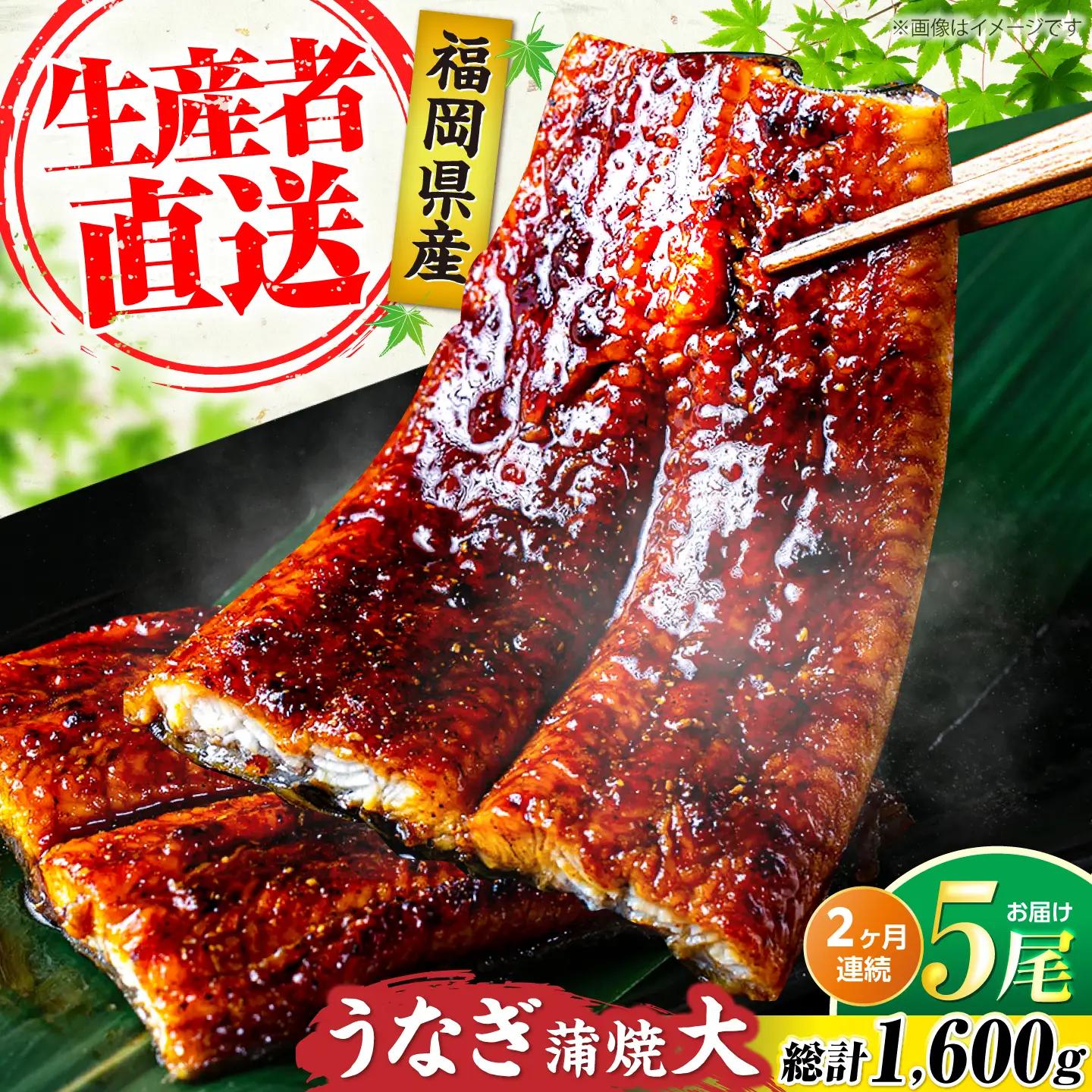 【全2回定期便】福岡県産 うなぎ 蒲焼 大5尾 800g VAD035 うなぎ