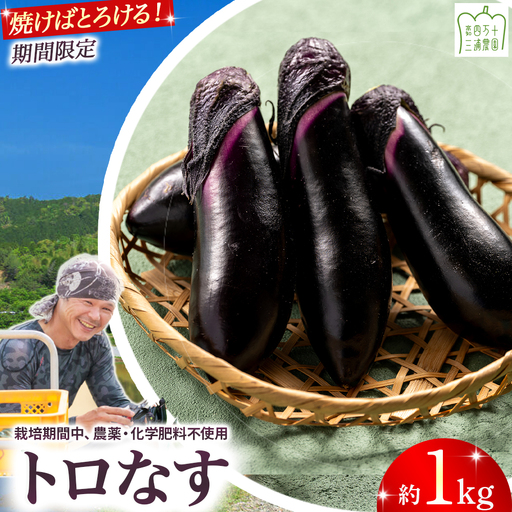 【予約受付】【期間限定】 焼いてトロける！三浦農園のトロなす1kg 栽培期間中農薬・化学肥料不使用 ／Fms-15 農産物 新鮮 焼きナス 野菜 大量 
