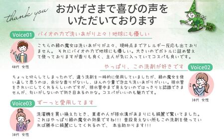 洗濯洗剤 緑の魔女ランドリー 5L 排水口もスッキリ | 大容量 洗濯 洗剤  