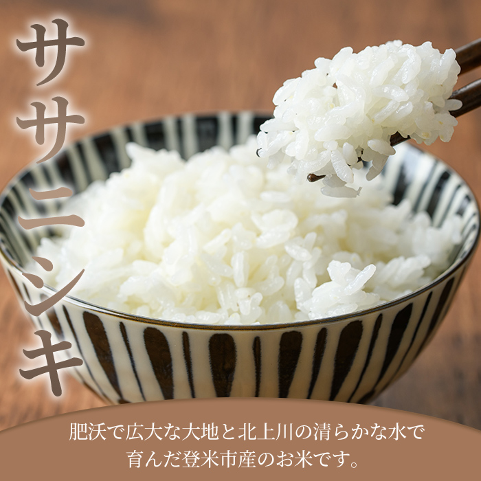 ＜先行予約！2025年10月以降順次発送予定＞≪令和7年産 新米≫ ササニシキ 10kg (5kg×2袋) 登米市産 お米 おこめ 米 コメ ささにしき 白米 ご飯 ごはん おにぎり お弁当 【登米ラ