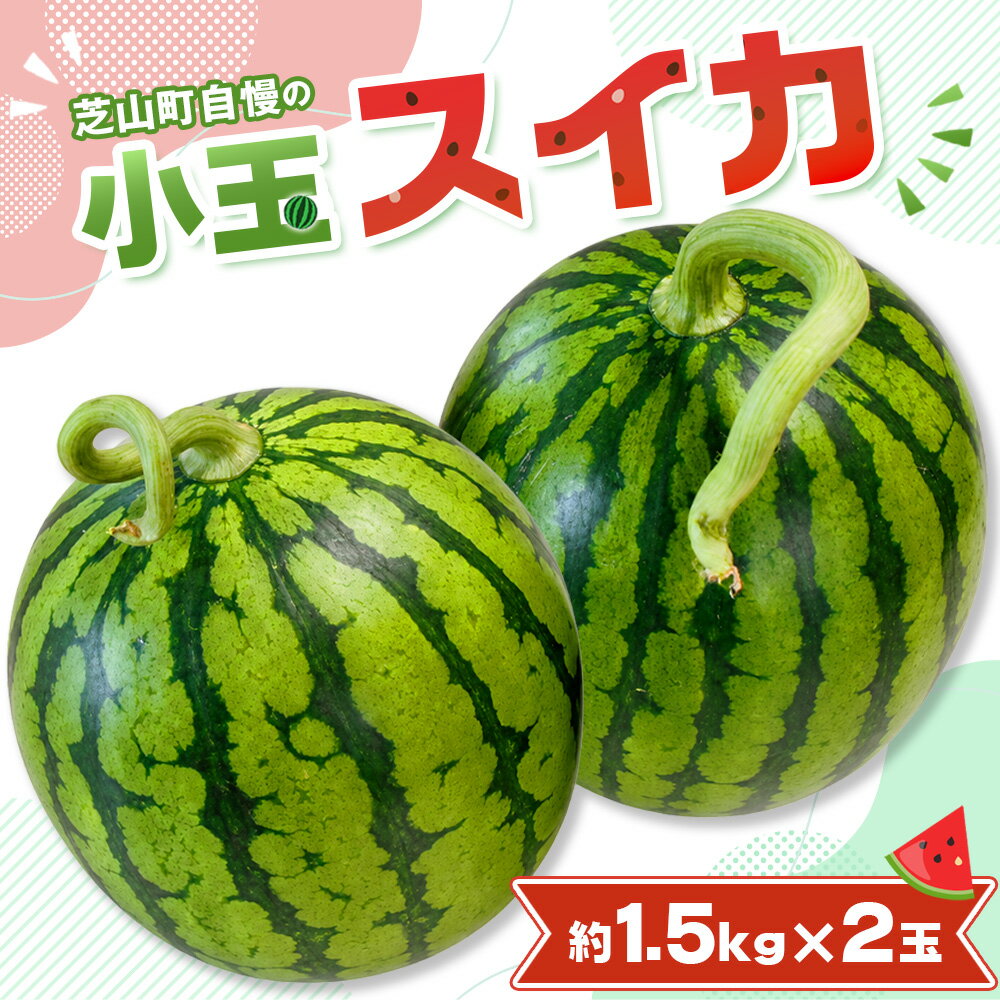 【ふるさと納税】小玉スイカ ／ すいか 小玉 約1.5kg×2玉 芝山町産 厳選 旬 食べきりサイズ 水分補給 夏 甘い 高糖度 おやつ デザート 西瓜 お取り寄せ 産地直送 産直 送料無料 青果 千葉県 No.094