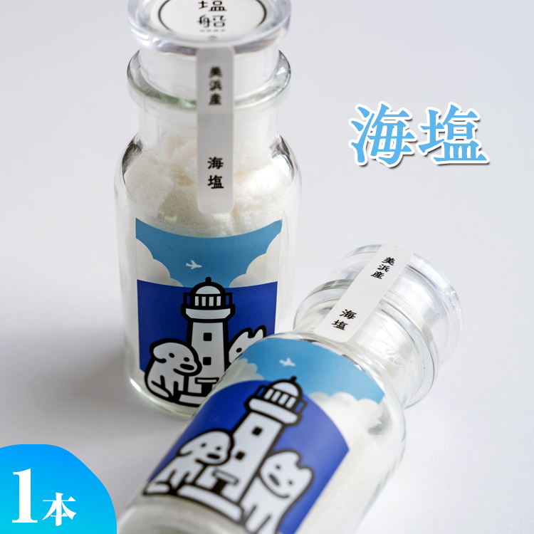 海塩 1本 美浜の塩 美浜の塩 100g×1袋 ｜ 天然塩 塩 食塩 卓上塩 おためし ミネラル しお 天然 調味料 ソルト 海水塩 料理 味付 国産 おにぎり　愛知県 美浜町 食と健康の館 ※北海道・沖縄・離島への配送不可
