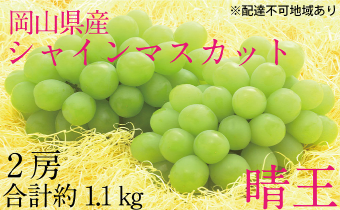 
                  ぶどう 2026年 先行予約 シャイン マスカット 晴王 2房（合計約1.1kg） ブドウ 葡萄 岡山県産 国産 フルーツ 果物 ギフト デザート 食後 酸味が少ない 産地直送
                